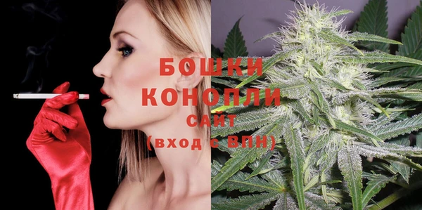 тгк Горнозаводск