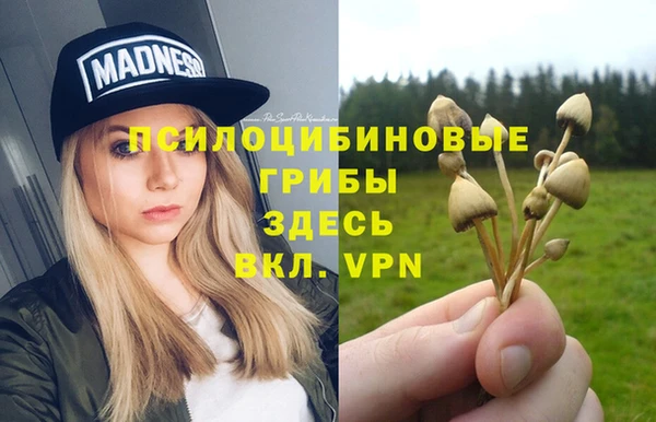 метадон Горняк