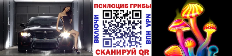 Купить где  Чудово  Псилоцибиновые грибы Cubensis 